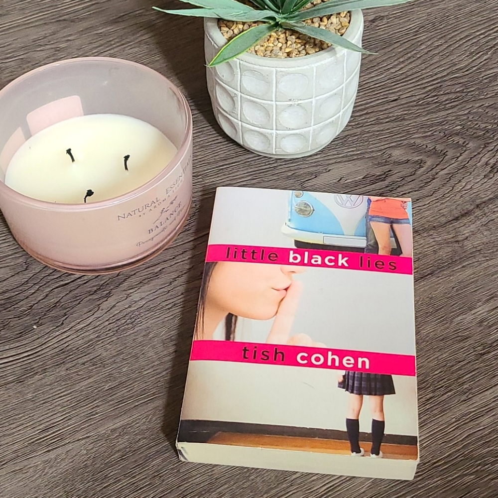 BOOKS 2/$10 Tish Cohen Little Black Lies